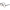 Dino