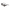 Iconik Kiss